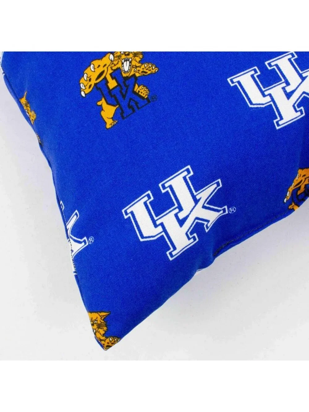 Kentucky Wildcats Outdoor Decorative Throw Pillow, 16x16, Cozy Home Accent